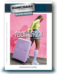 Delsey Gesamtkatalog